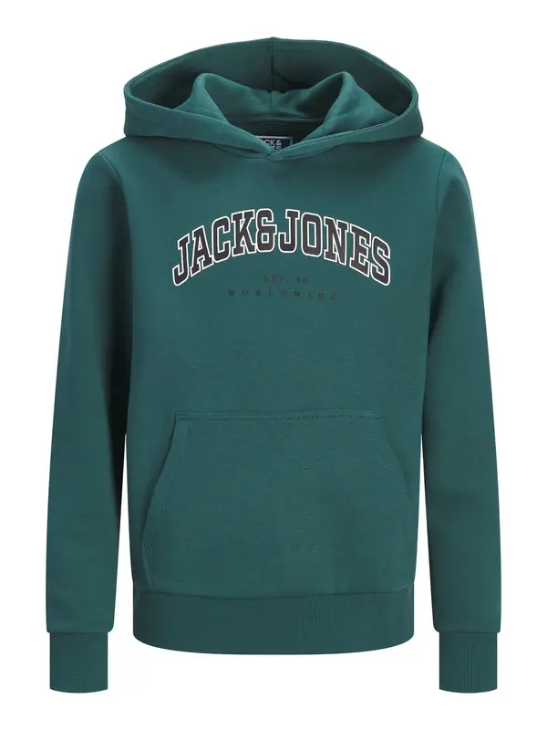 Jack & Jones Junior Jack & Jones Junior Sweater majica 'JJECaleb'  kraljevski zelena / crna / bijela
