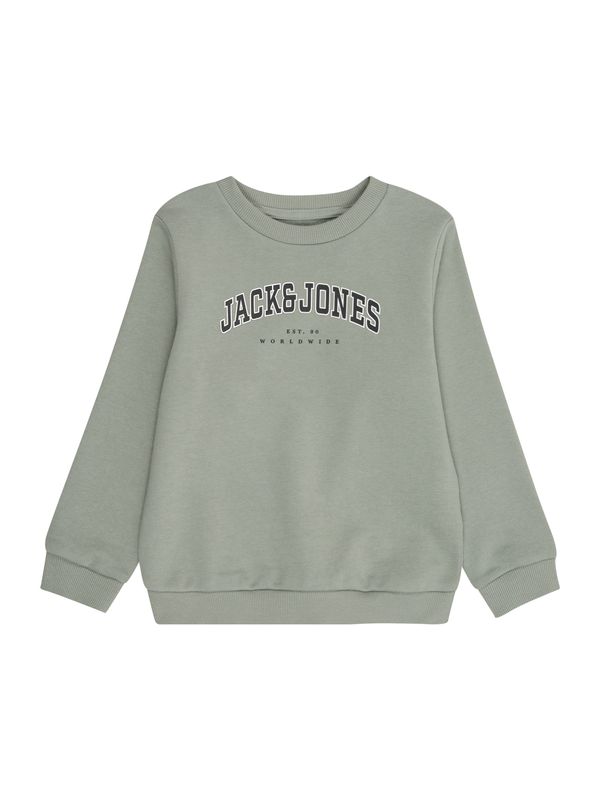 Jack & Jones Junior Jack & Jones Junior Sweater majica 'JJECALEB'  pastelno zelena / crna / bijela