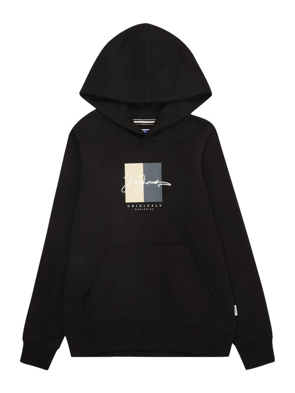 Jack & Jones Junior Jack & Jones Junior Sweater majica 'JORFREDERIKSBERG'  bež / bazalt siva / crna / bijela