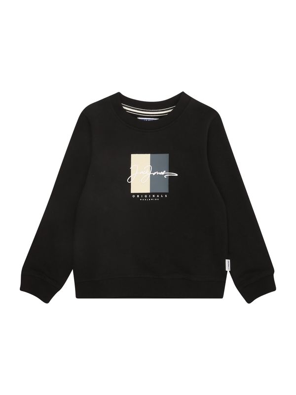 Jack & Jones Junior Jack & Jones Junior Sweater majica 'JORFREDERIKSBERG'  bež / siva / crna