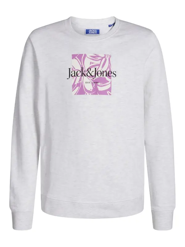 Jack & Jones Junior Jack & Jones Junior Sweater majica 'Lafayette'  svijetlobež / siva melange / svijetloljubičasta / crna