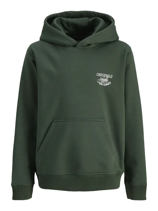 Jack & Jones Junior Jack & Jones Junior Sweater majica 'Niagara'  tamno zelena / bijela
