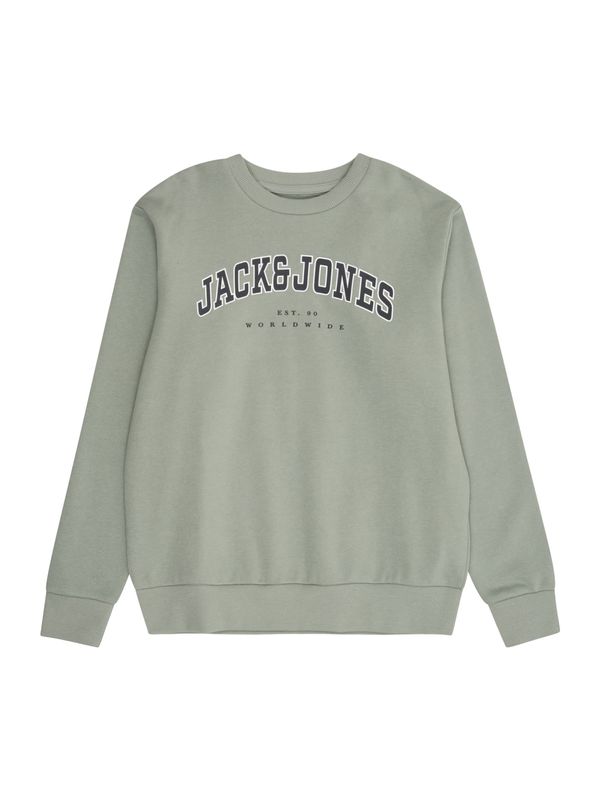 Jack & Jones Junior Jack & Jones Junior Sweater majica  pastelno zelena / crna / bijela