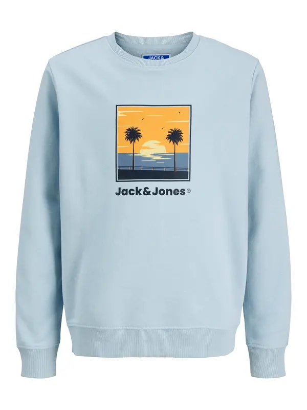 Jack & Jones Junior Jack & Jones Junior Sweater majica 'Perry'  svijetloplava / miks boja
