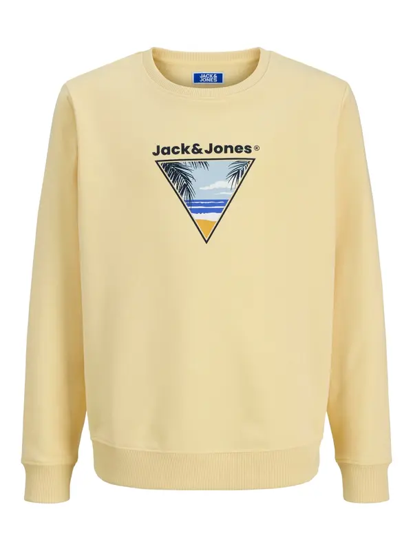 Jack & Jones Junior Jack & Jones Junior Sweater majica 'Perry'  svijetloplava / žuta / crna