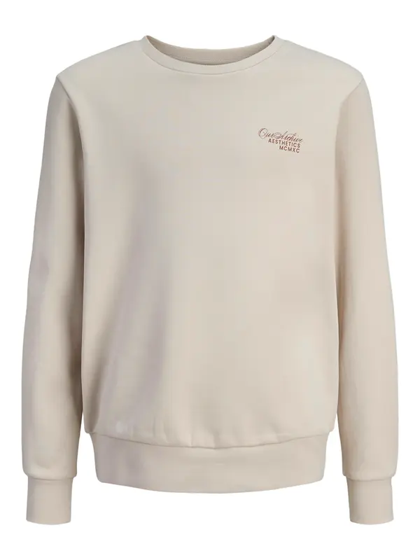 Jack & Jones Junior Jack & Jones Junior Sweater majica 'Roar'  bež / bordo