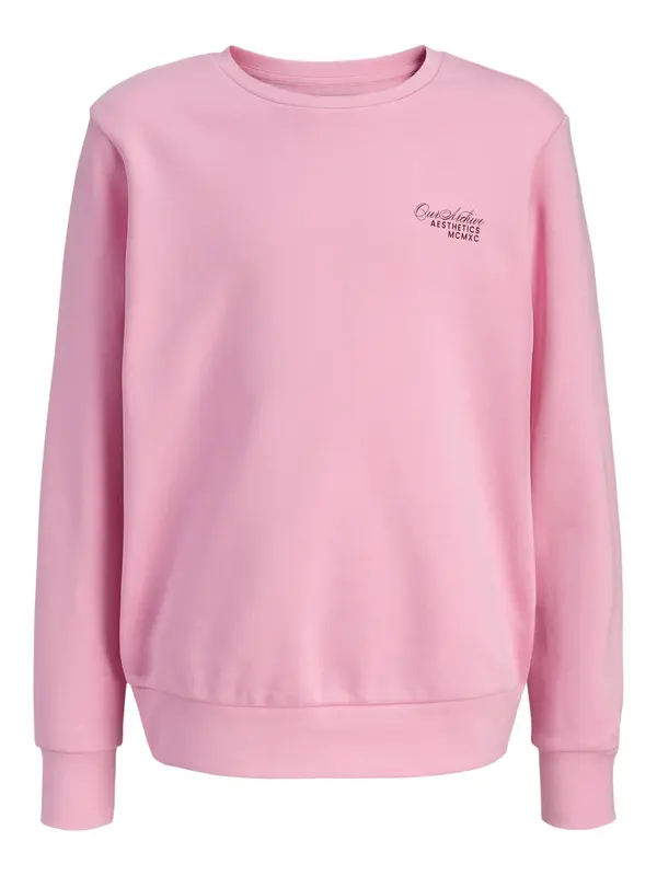 Jack & Jones Junior Jack & Jones Junior Sweater majica 'Roar'  rosé / crna