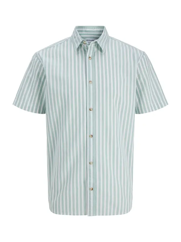 JACK & JONES JACK & JONES Košulja 'JJCHAD'  menta / crna / bijela