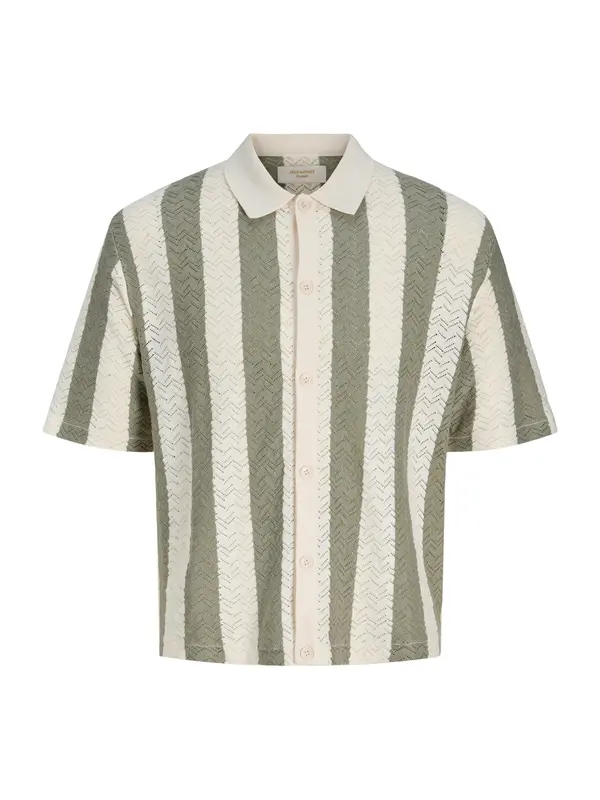 JACK & JONES JACK & JONES Košulja 'JORTYLER'  bež / pastelno zelena