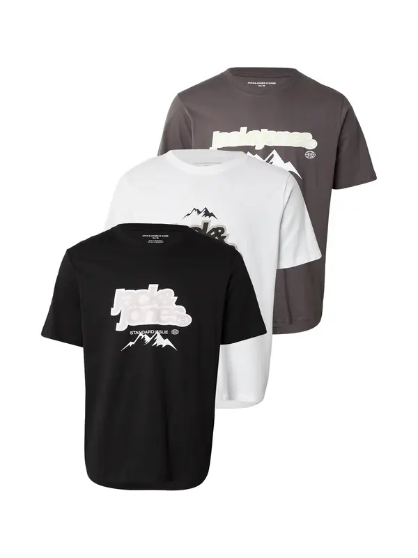 JACK & JONES JACK & JONES Majica 'JCOFLARE'  tamo siva / crna / bijela