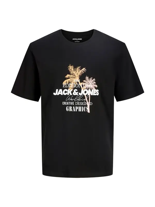 JACK & JONES JACK & JONES Majica 'JJGRADIENT'  med / rosé / crna / bijela