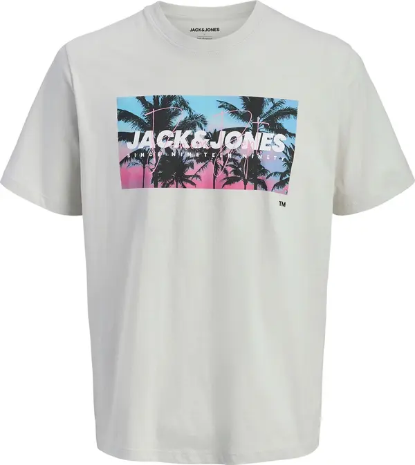 JACK & JONES JACK & JONES Majica 'JJINDIANA'  svijetloplava / svijetlosiva / svijetloroza / crna