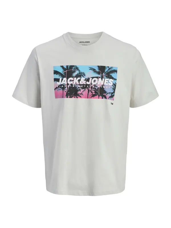 JACK & JONES JACK & JONES Majica 'JJINDIANA'  svijetloplava / svijetlosiva / svijetloroza / crna