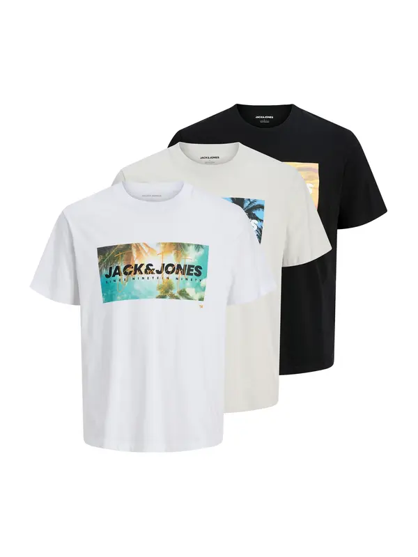 JACK & JONES JACK & JONES Majica 'JJINDIANA'  svijetlosiva / crna / bijela