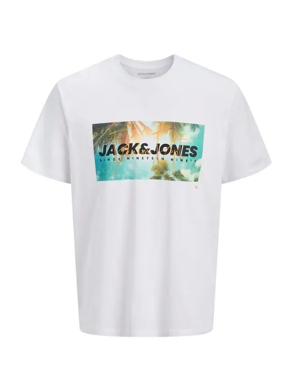 JACK & JONES JACK & JONES Majica 'JJINDIANA'  tirkiz / maslinasta / crna / bijela