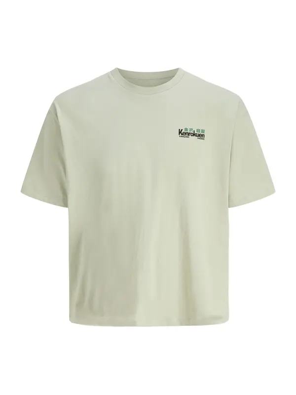 JACK & JONES JACK & JONES Majica 'JORKEN'  zelena / pastelno zelena / crna / bijela