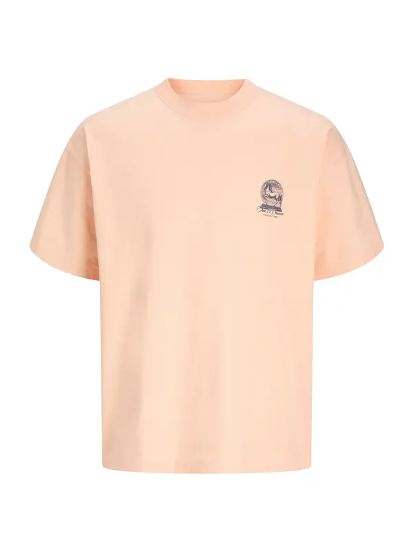 JACK & JONES JACK & JONES Majica 'JORMAINE'  tamo siva / breskva
