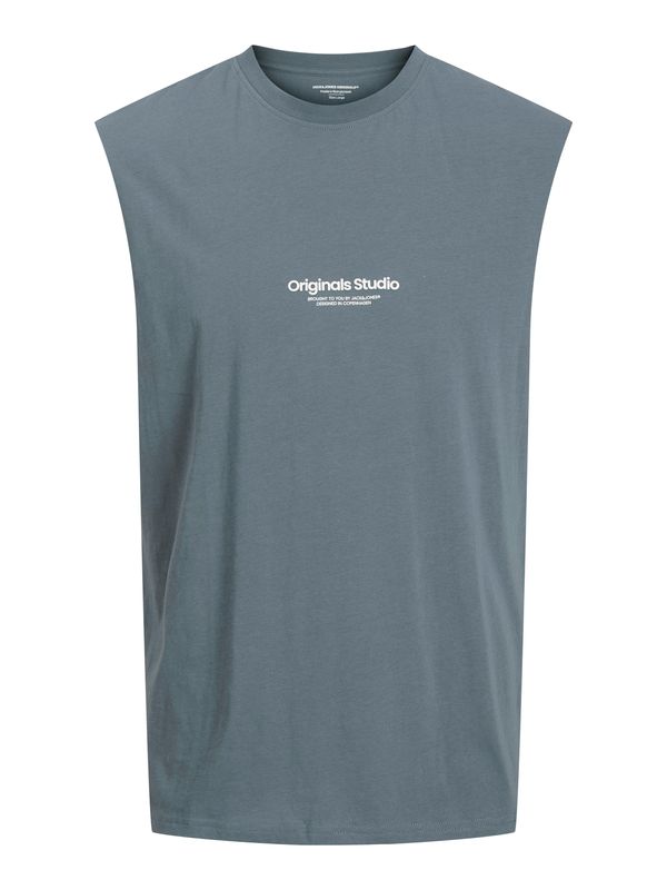 JACK & JONES JACK & JONES Majica 'JORVESTERBRO'  sivkasto plava / bijela