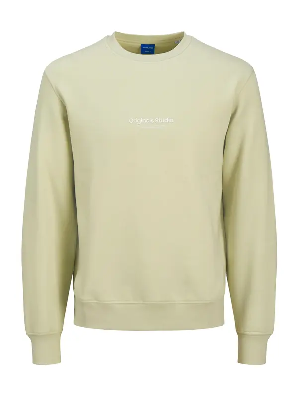 JACK & JONES MINI JACK & JONES MINI Sweater majica 'JORVESTERBRO'  pastelno zelena / bijela