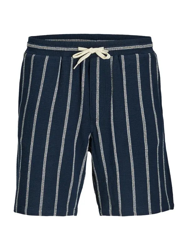 Jack & Jones Plus Jack & Jones Plus Hlače 'JPSTAiden'  noćno plava / bijela