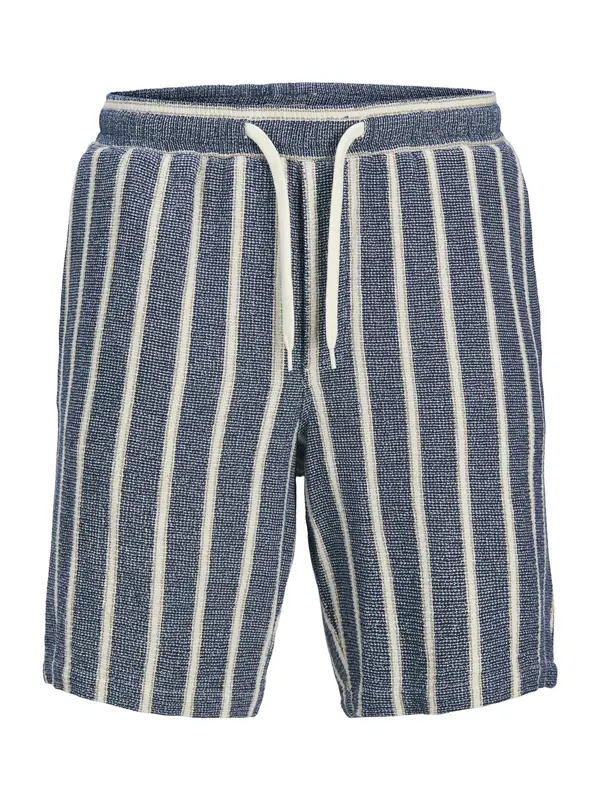 Jack & Jones Plus Jack & Jones Plus Hlače 'JPSTAiden'  plava / bijela