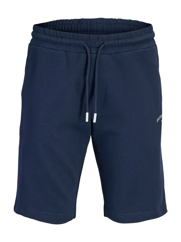 Jack & Jones Plus Jack & Jones Plus Hlače 'JPSTGORDON'  mornarsko plava / bijela