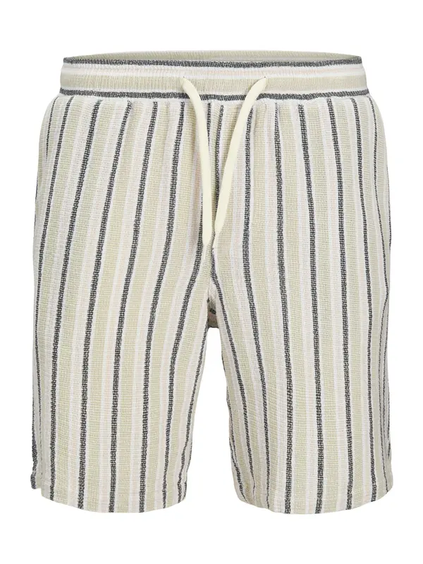 Jack & Jones Plus Jack & Jones Plus Hlače 'JPSTJAIDEN'  boja pijeska / pastelno zelena / crna / bijela