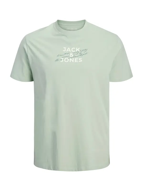 Jack & Jones Plus Jack & Jones Plus Majica 'JCOETERNA'  pastelno zelena / bijela