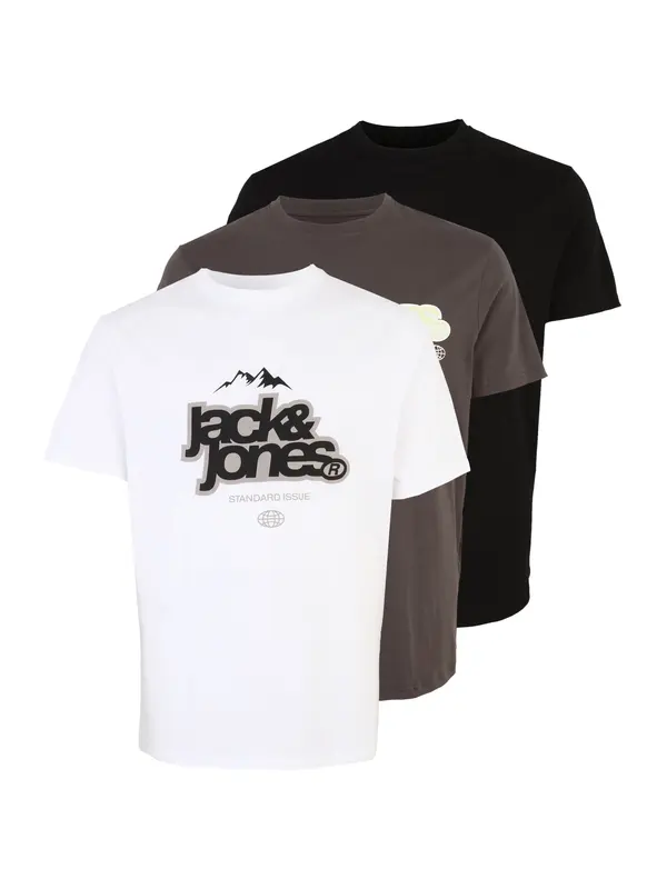Jack & Jones Plus Jack & Jones Plus Majica 'JCOFLARE'  tamo siva / crna / bijela
