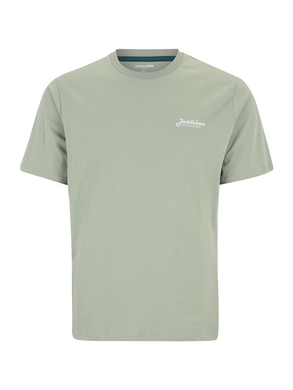 Jack & Jones Plus Jack & Jones Plus Majica 'JJBEAU'  pastelno zelena / bijela