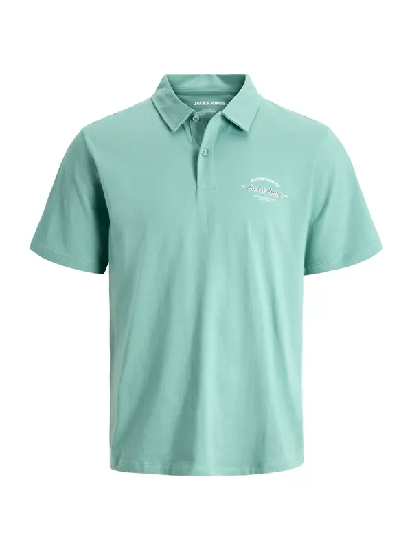 Jack & Jones Plus Jack & Jones Plus Majica 'JJBRANDON'  menta / kraljevski zelena / bijela