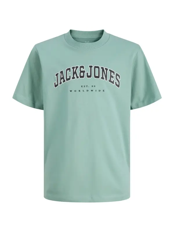 Jack & Jones Plus Jack & Jones Plus Majica 'JJECALEB'  svijetlozelena / crna / bijela