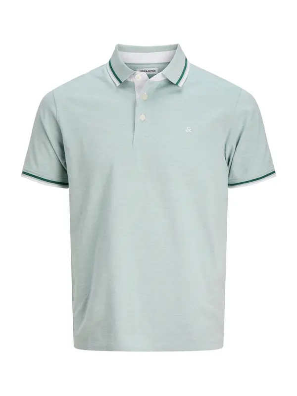 Jack & Jones Plus Jack & Jones Plus Majica 'JJEPAULOS'  menta / kraljevski zelena / bijela
