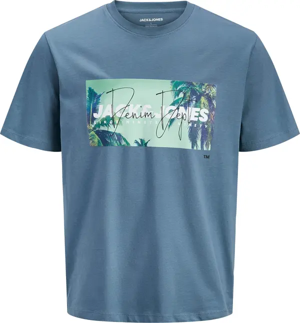 Jack & Jones Plus Jack & Jones Plus Majica 'JJINDIANA'  morsko plava / pastelno zelena / bijela