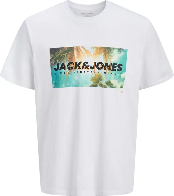 Jack & Jones Plus Jack & Jones Plus Majica 'JJINDIANA'  smeđa / pastelno zelena / crna / bijela