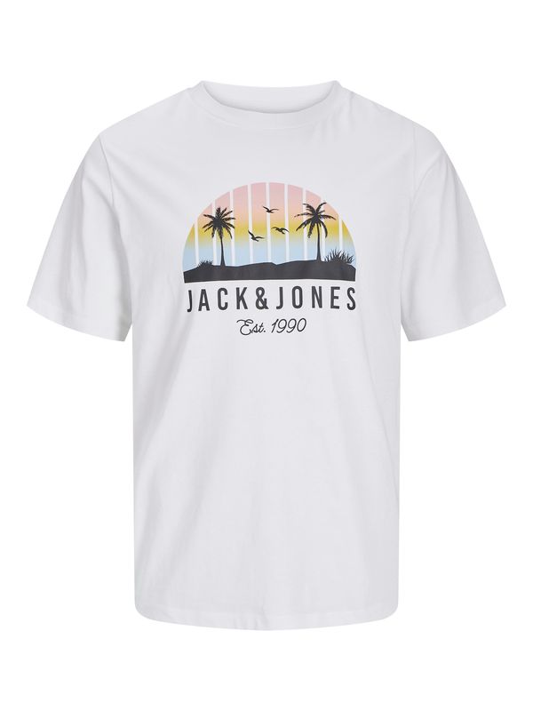 Jack & Jones Plus Jack & Jones Plus Majica 'JJPALM'  svijetloplava / roza / crna / bijela