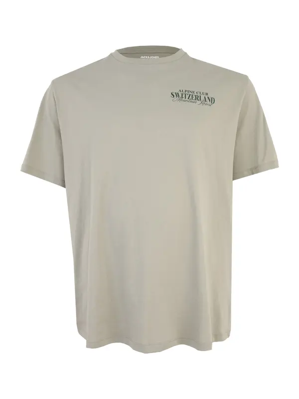 Jack & Jones Plus Jack & Jones Plus Majica 'JORALPINE'  pastelno zelena / tamno zelena