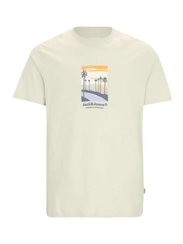 Jack & Jones Plus Jack & Jones Plus Majica 'JORSPLIT'  mornarsko plava / golublje plava / narančasto žuta / pastelno zelena