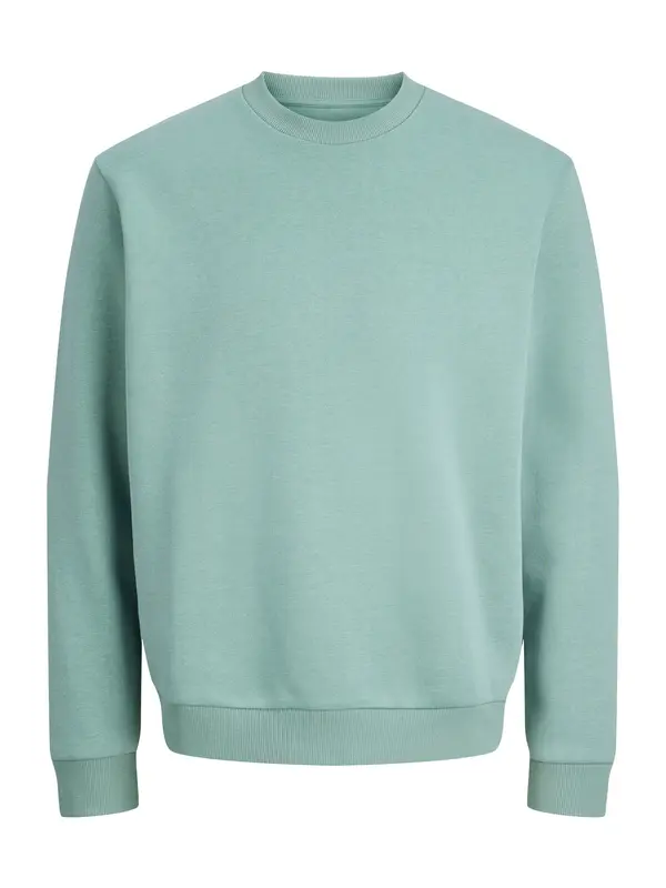 Jack & Jones Plus Jack & Jones Plus Sweater majica 'JJEBradley'  menta