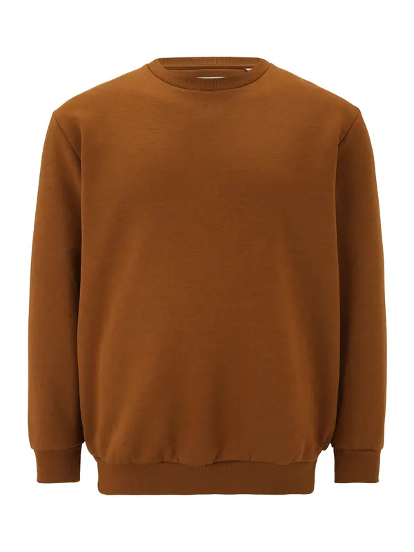 Jack & Jones Plus Jack & Jones Plus Sweater majica 'JJEBradley'  smeđa