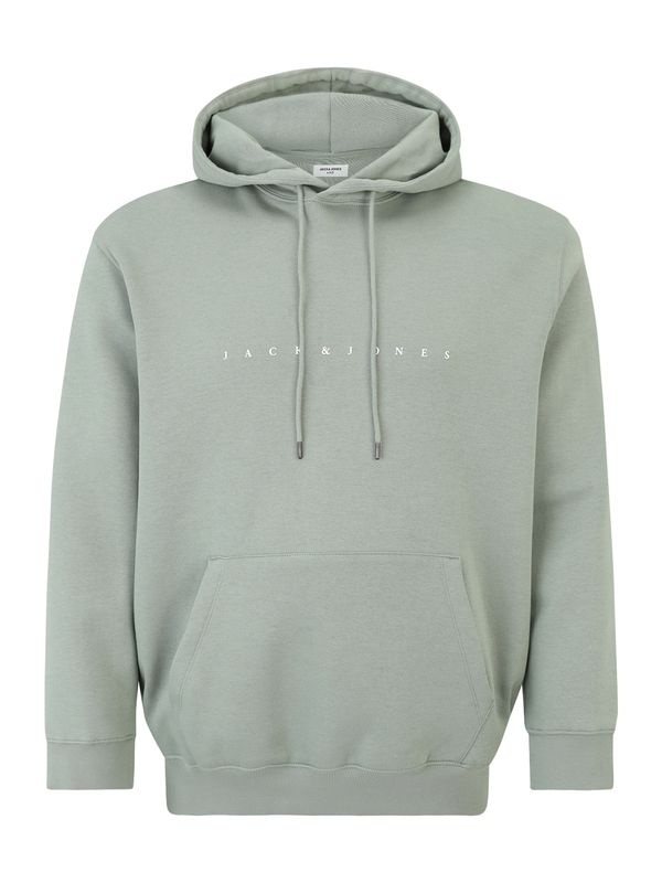 Jack & Jones Plus Jack & Jones Plus Sweater majica 'JJEStar'  pastelno zelena