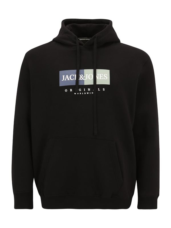 Jack & Jones Plus Jack & Jones Plus Sweater majica 'JORFREDERIKSBERG'  indigo / menta / crna / bijela