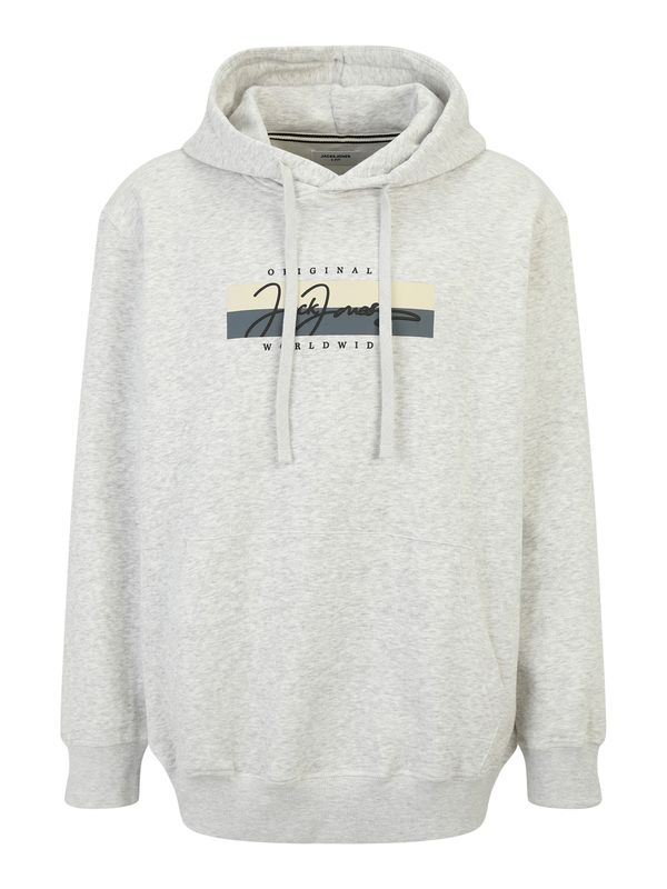 Jack & Jones Plus Jack & Jones Plus Sweater majica 'JORFREDERIKSBERG'  sivkasto bež / tamo siva / crna / bijela melange