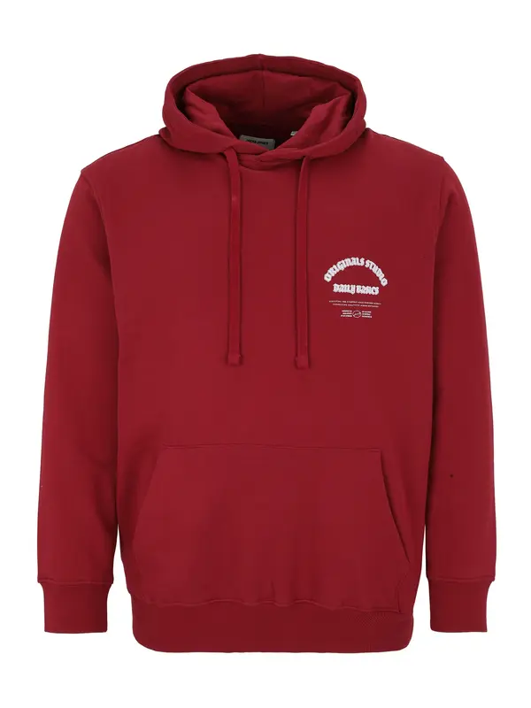 Jack & Jones Plus Jack & Jones Plus Sweater majica 'JORMEADOWS'  boja vina / bijela