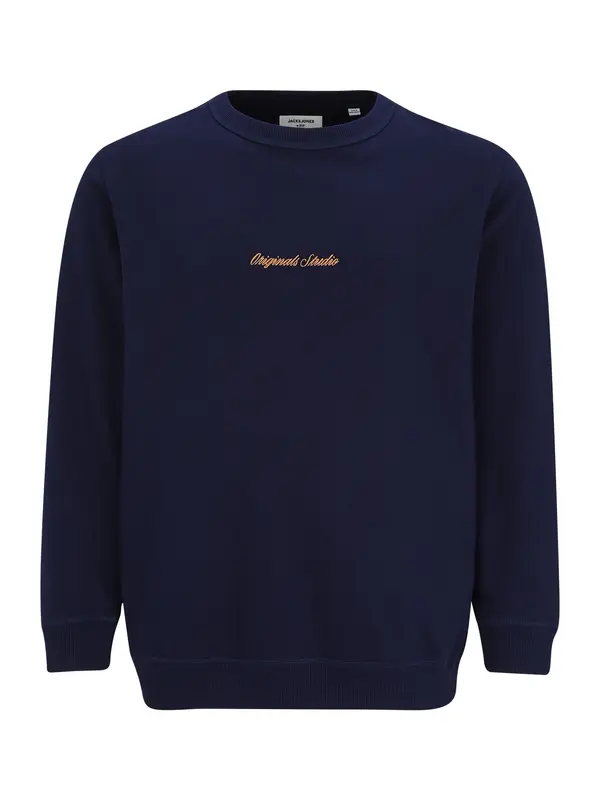 Jack & Jones Plus Jack & Jones Plus Sweater majica 'JORNorrebro'  morsko plava / med