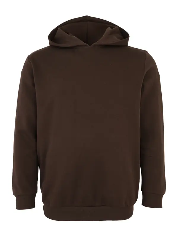 Jack & Jones Plus Jack & Jones Plus Sweater majica 'JPRBLAANDREW'  bež / tamno smeđa