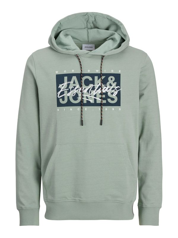 JACK & JONES JACK & JONES Sweater majica 'JJCOLTON'  mornarsko plava / menta / bijela