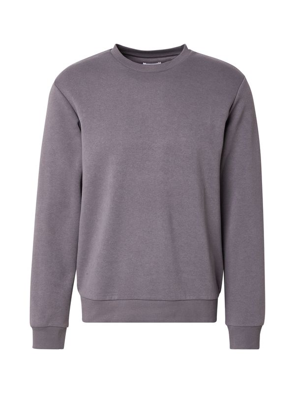 JACK & JONES JACK & JONES Sweater majica 'JJEBRADLEY'  tamo siva