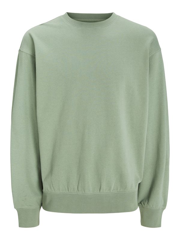 JACK & JONES JACK & JONES Sweater majica 'JJECHARGE'  pastelno zelena