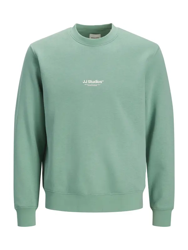 JACK & JONES JACK & JONES Sweater majica 'JJESOHO'  pastelno zelena / bijela